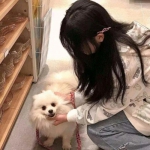 字母魔法师游戏下载